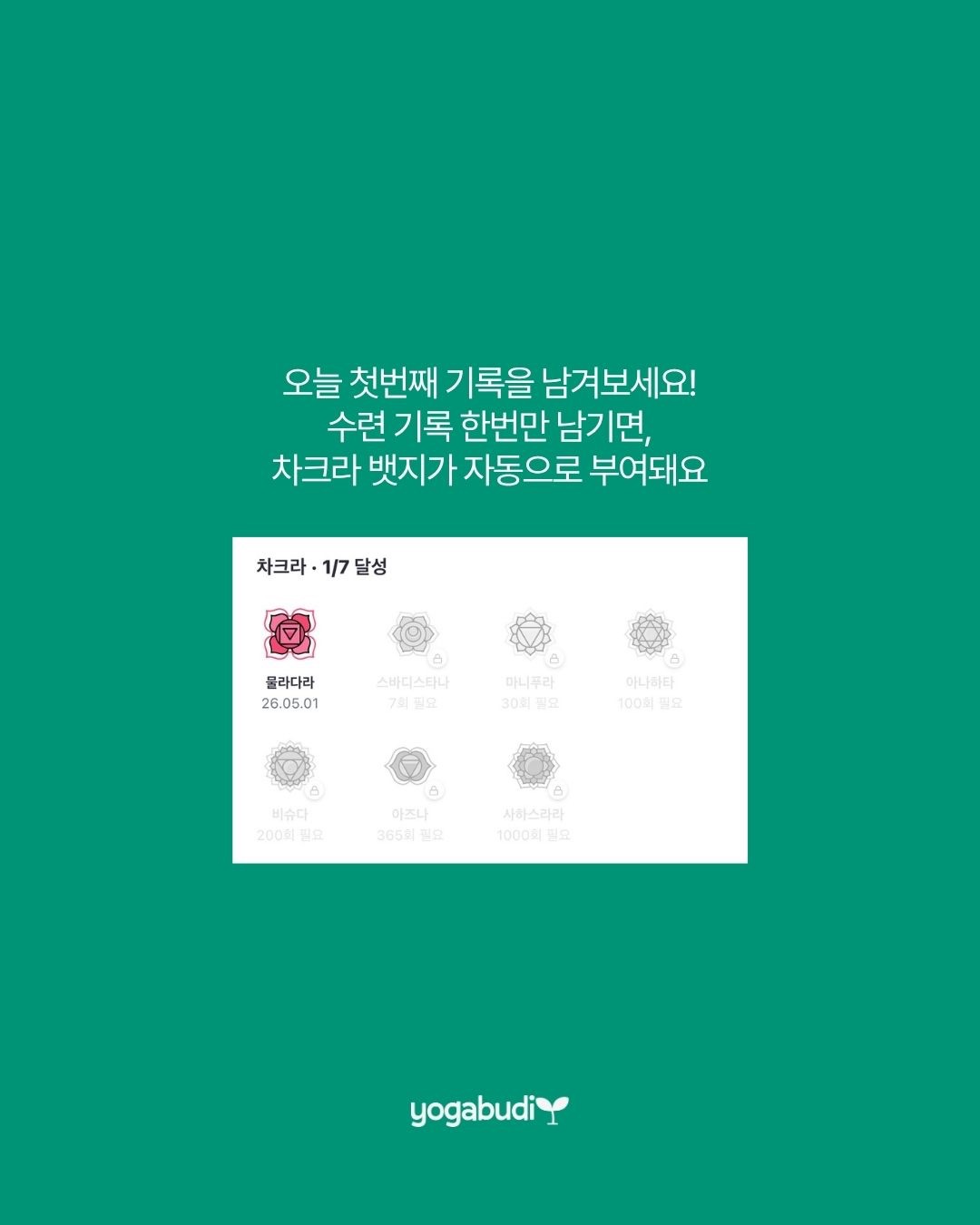 사진 5