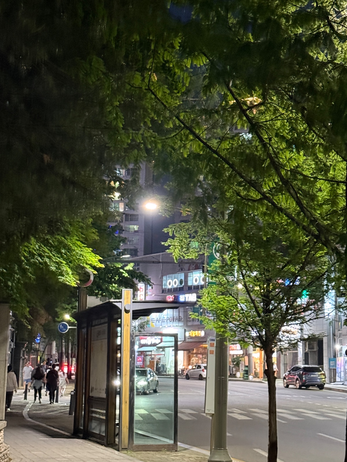 사진 3