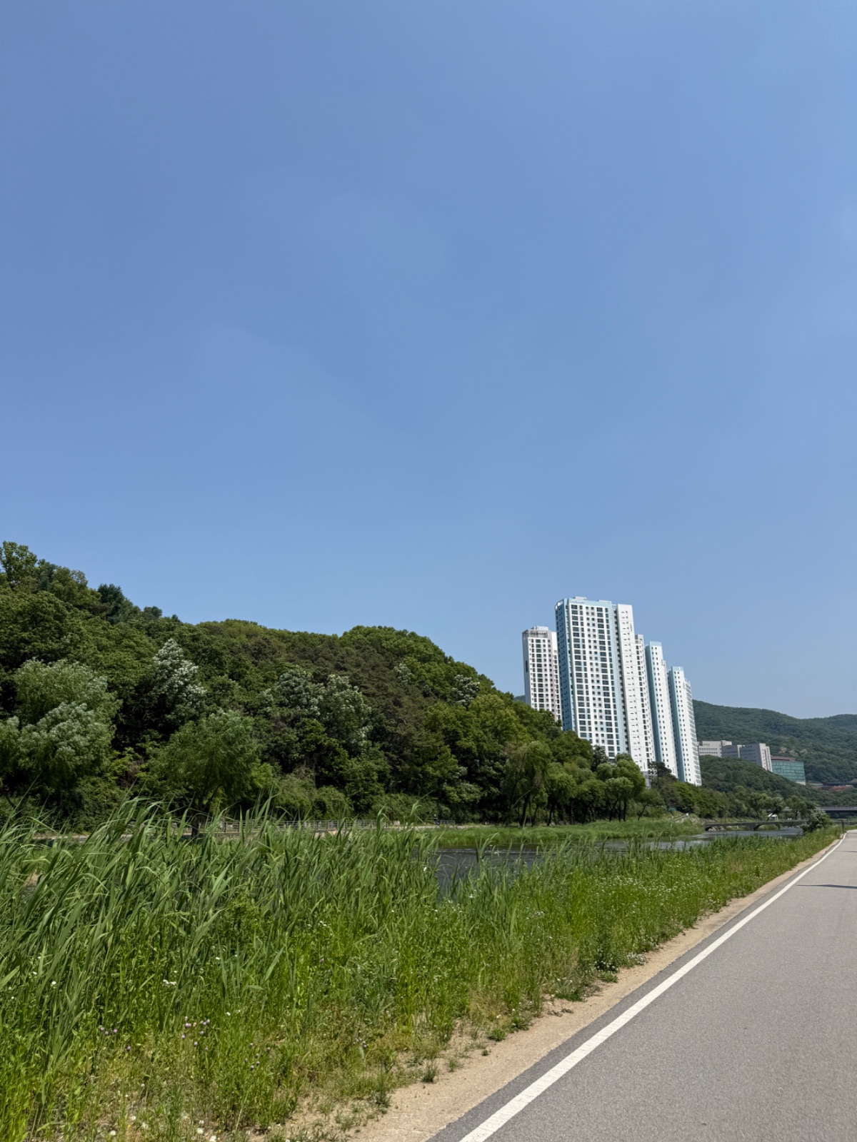 사진 2