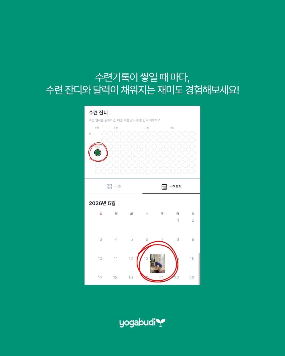 사진 5